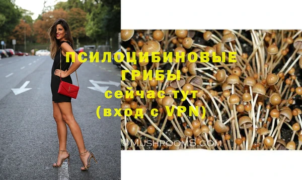 крисы Алексин